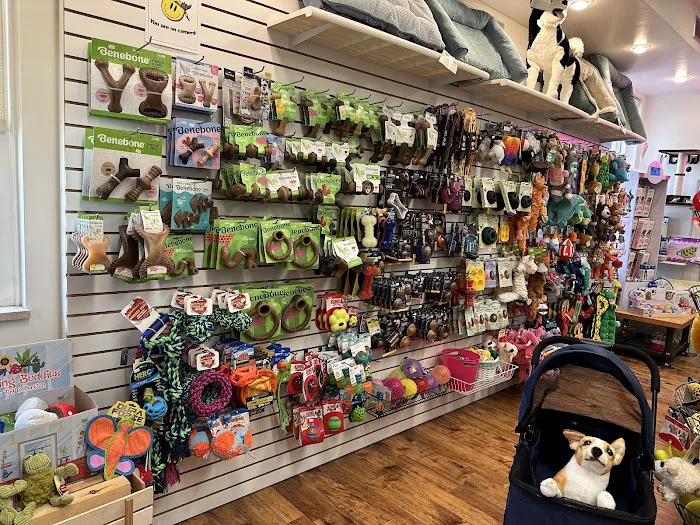 Ligonier Paws on Main 12