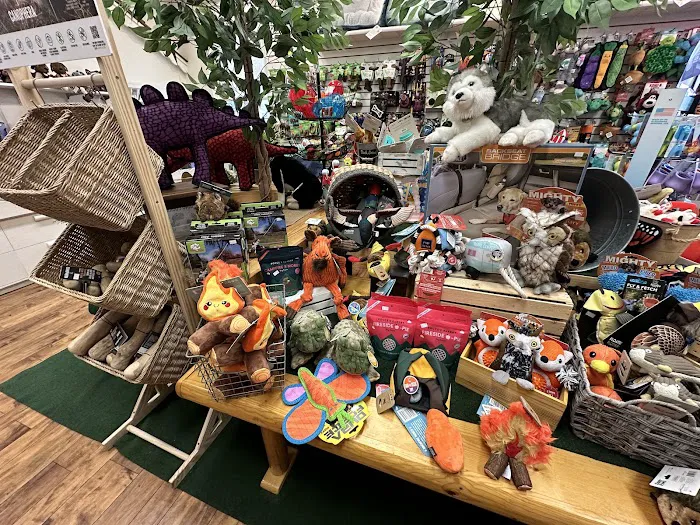 Ligonier Paws on Main 12