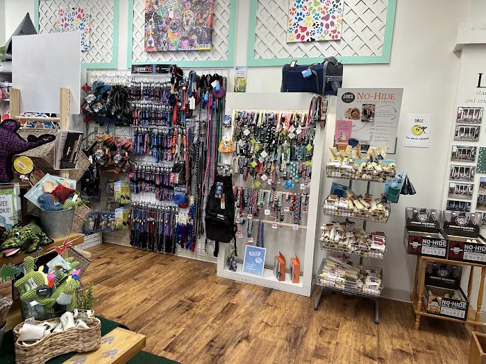 Ligonier Paws on Main 12