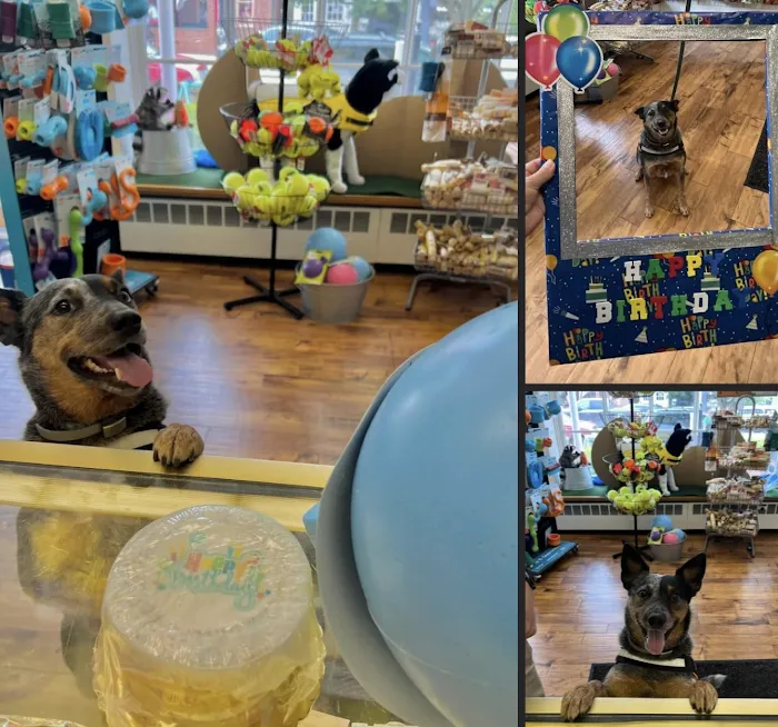 Ligonier Paws on Main 12