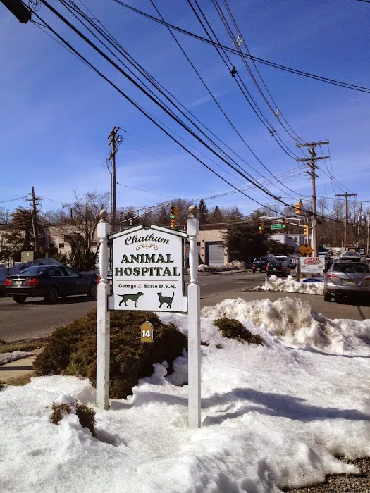 Chatham Animal Hospital 12