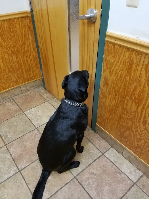Murray Hill Veterinary Associates 12