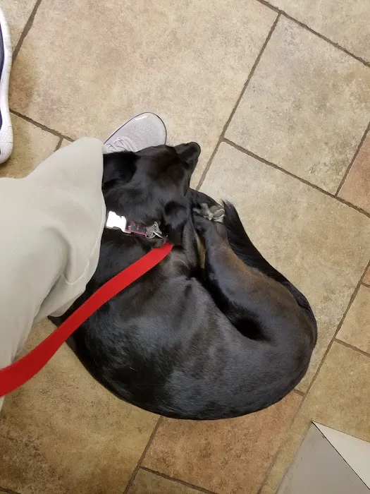 Murray Hill Veterinary Associates 12
