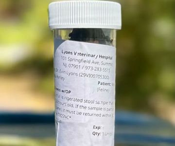 Lyons Veterinary Hospital