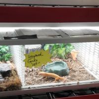 Gittler's Aquarium & Aviary ico