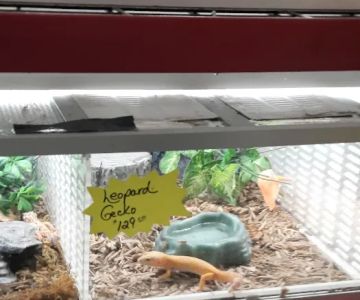 Gittler's Aquarium & Aviary