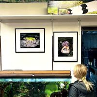 Oberst Pet Paradise ico