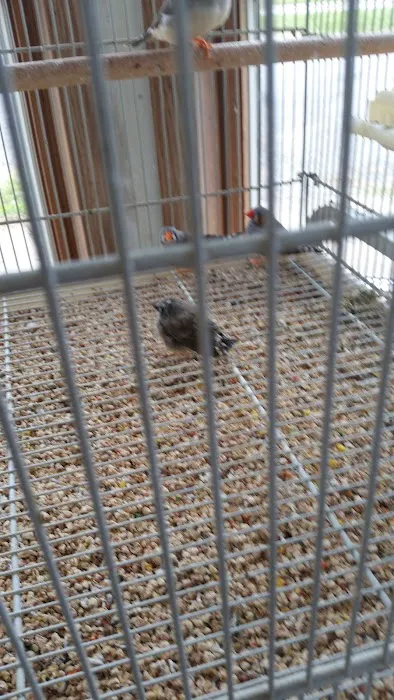 Oberst Pet Paradise 12