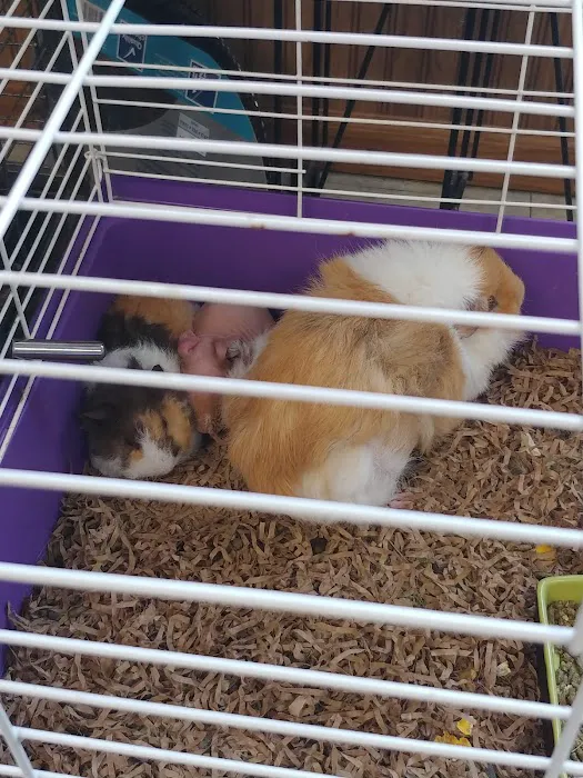 Oberst Pet Paradise 12