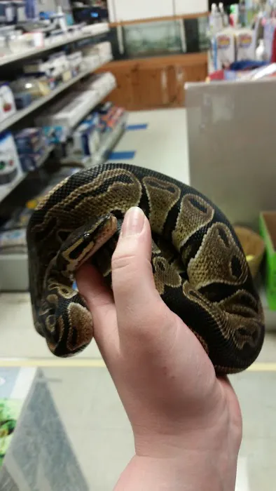 Oberst Pet Paradise 12