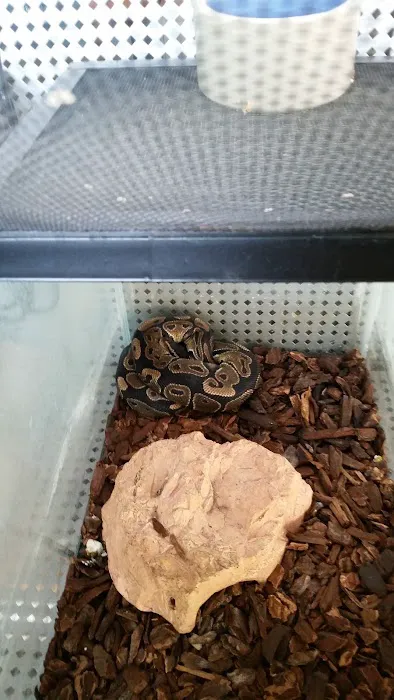 Oberst Pet Paradise 12