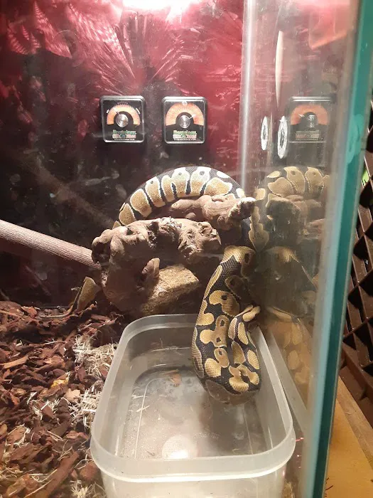 Oberst Pet Paradise 12