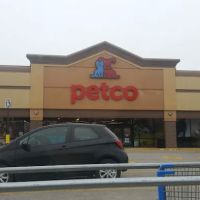 Petco ico