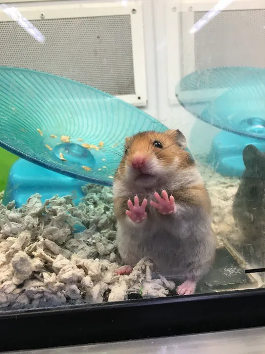 Petco 12