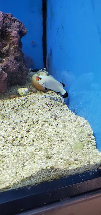 Petco 12