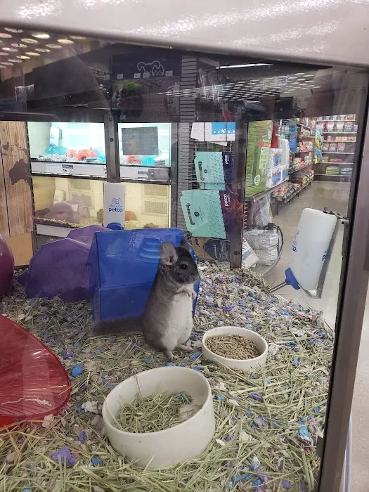 Petco 12