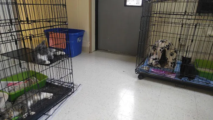 Country Lakes Animal Clinic 12