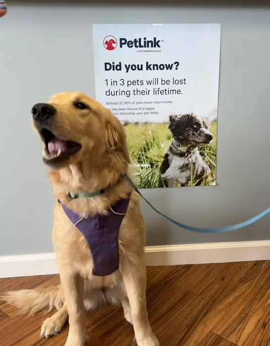 Preventive Paws Spay Center 12