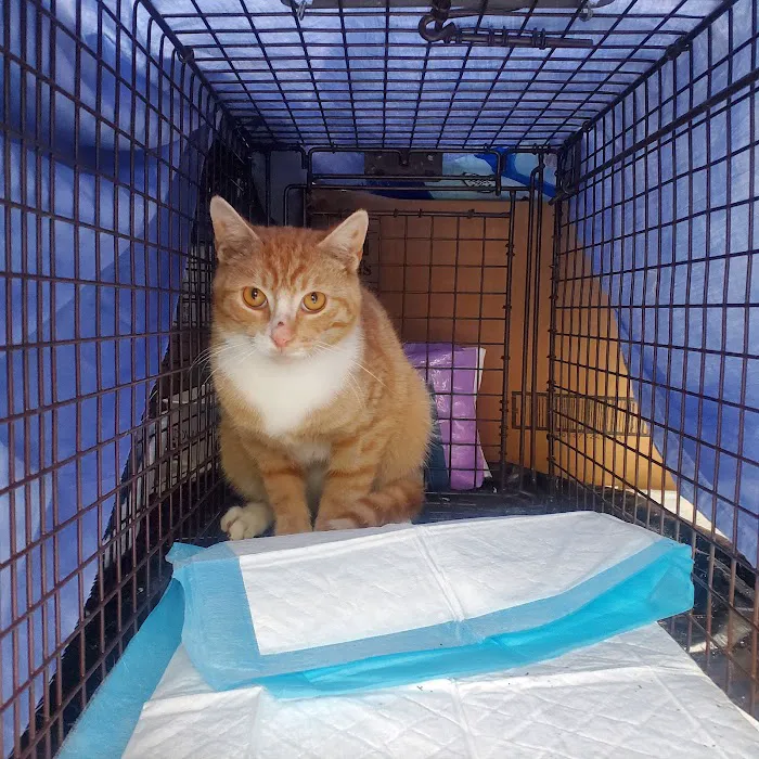Preventive Paws Spay Center 12