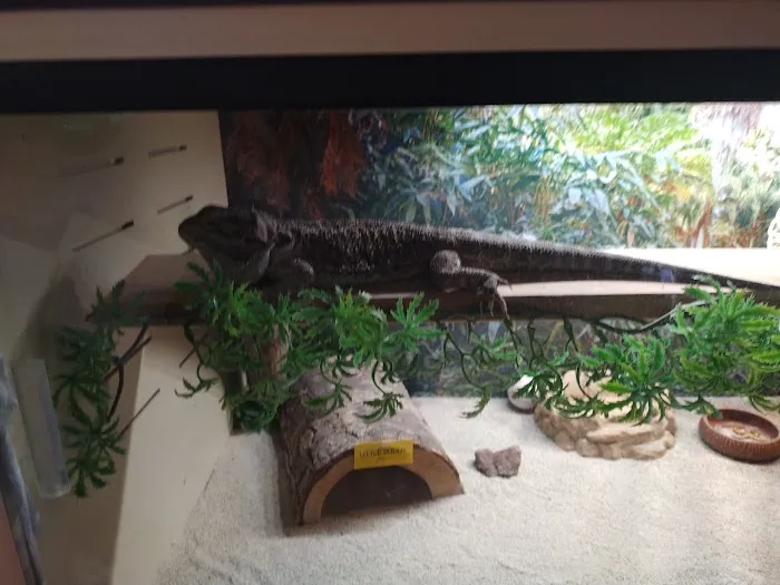 Petco 12
