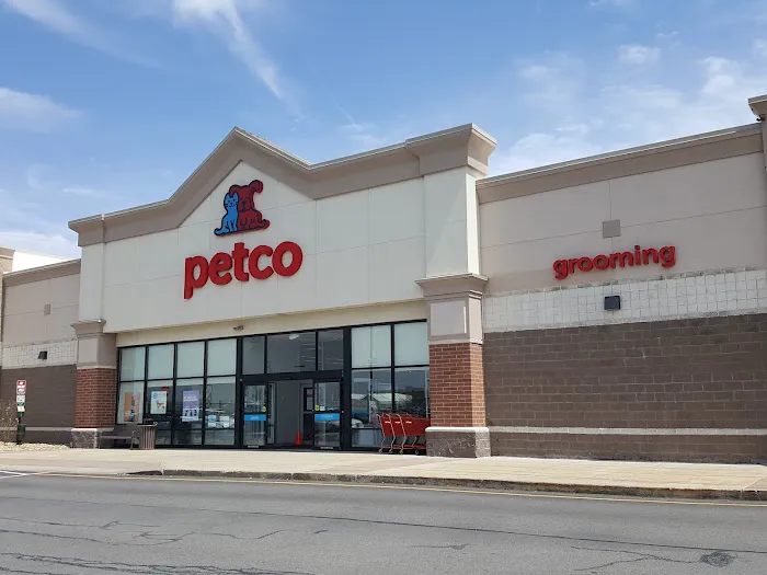 Petco 12