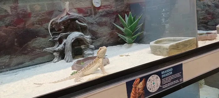 Petco 12