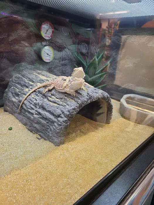 Petco 12