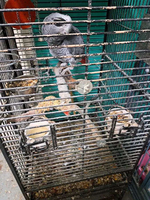 Pearce's Pet Place 12