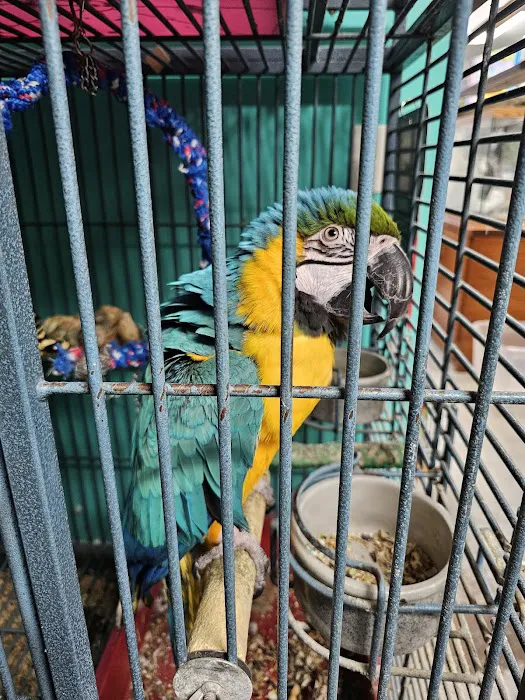 Pearce's Pet Place 12