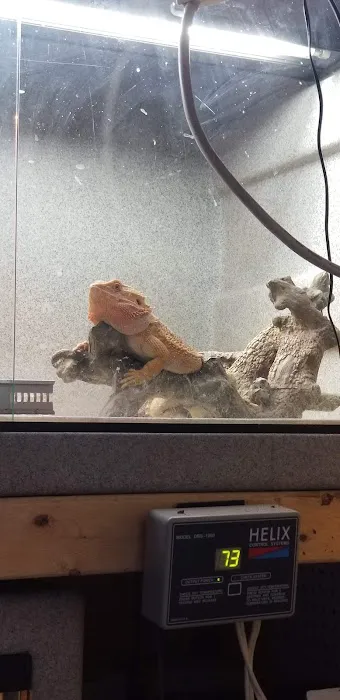 Pearce's Pet Place 12