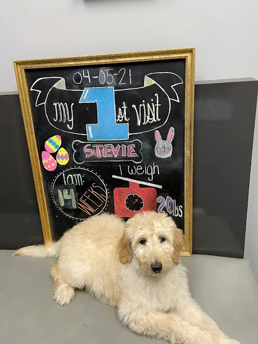 West Orange Animal Hospital 12
