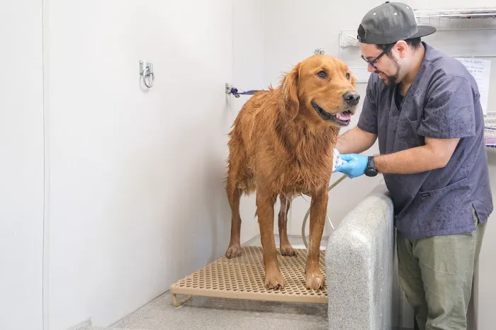 West Orange Animal Hospital 12