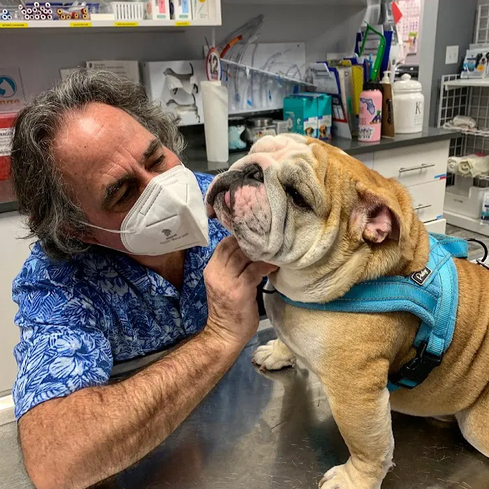 West Orange Animal Hospital 12