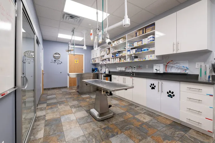 West Orange Animal Hospital 12