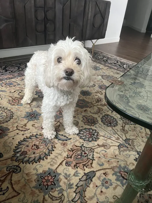 South Orange Animal Hospital 12