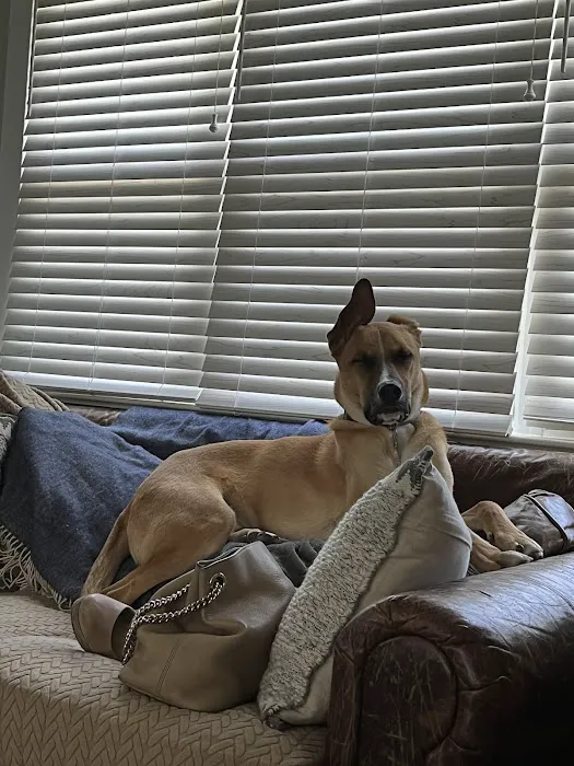 South Orange Animal Hospital 12