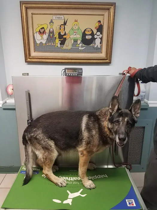South Orange Animal Hospital 12