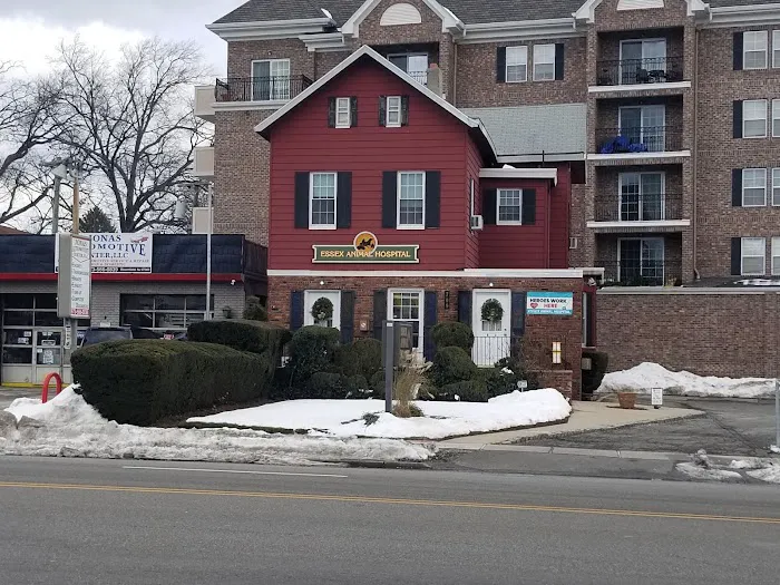 Essex Animal Hospital 12