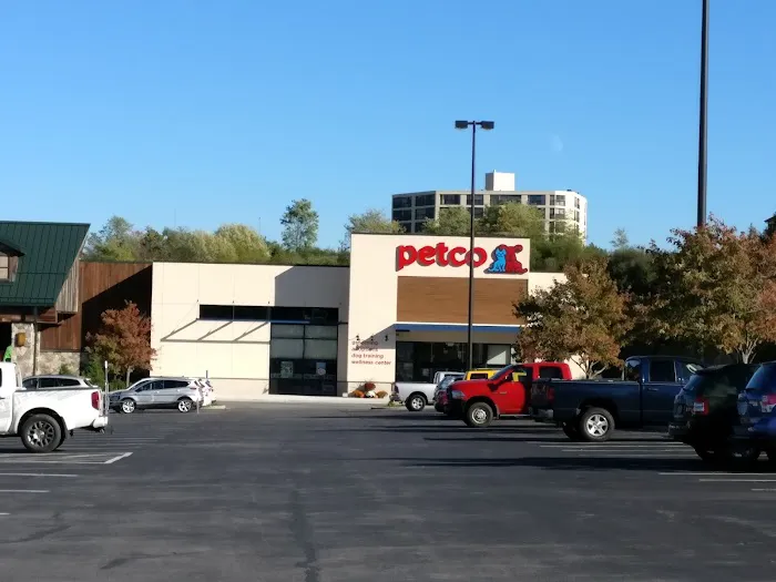 Petco 12