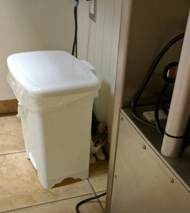 Ramsey Veterinary Hospital 12