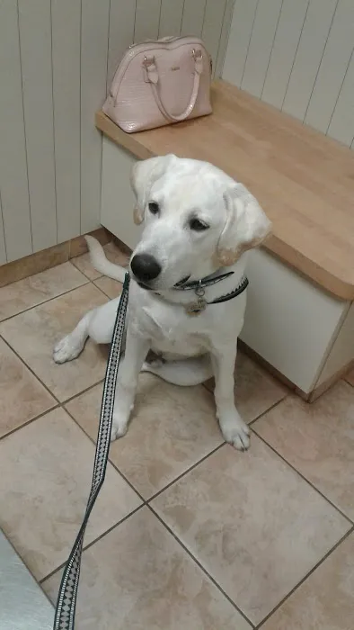 Ramsey Veterinary Hospital 12