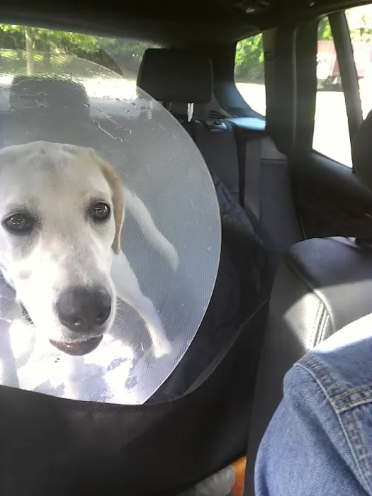 Ramsey Veterinary Hospital 12