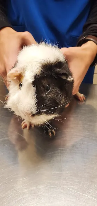 Ramsey Veterinary Hospital 12