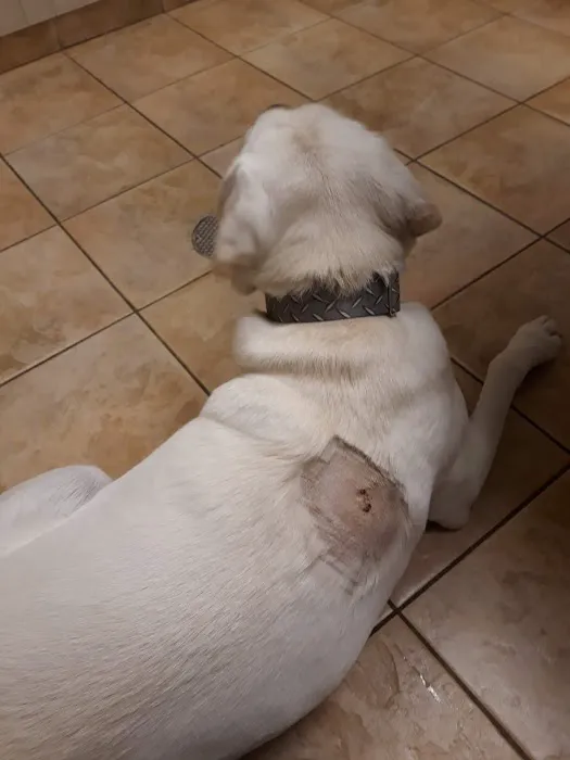 Ramsey Veterinary Hospital 12