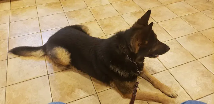 Ramsey Veterinary Hospital 12