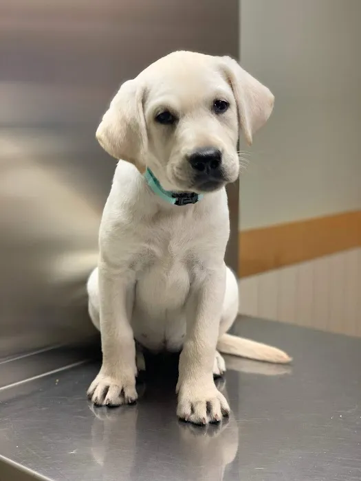 Ramsey Veterinary Hospital 12