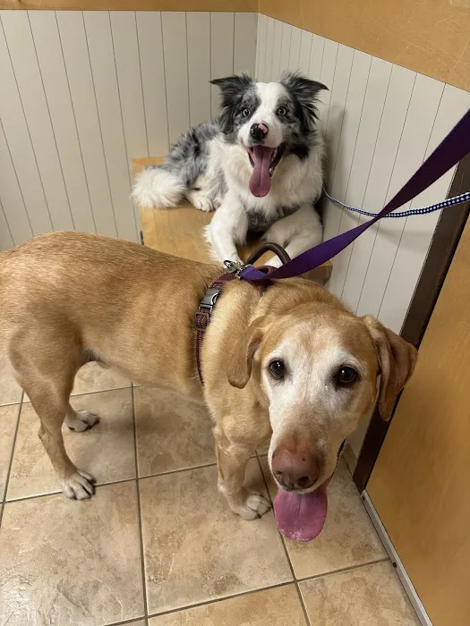 Ramsey Veterinary Hospital 12