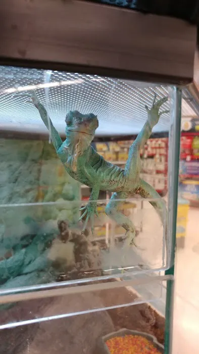 Petco 12