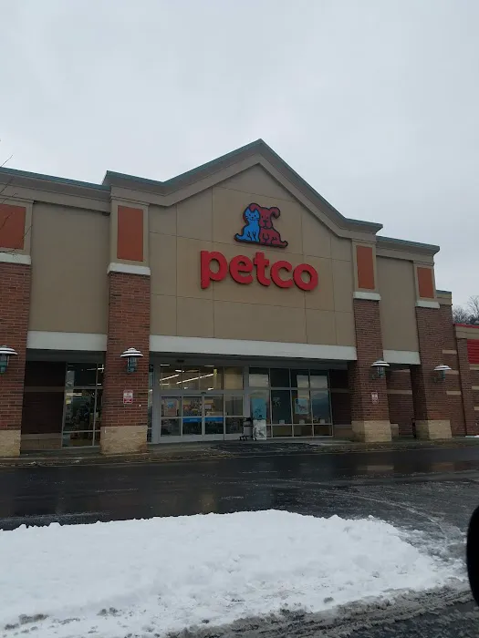 Petco 12