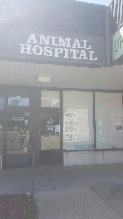Airmont Animal Hospital 12